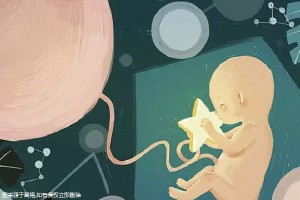 专业同性供卵助孕收费标准生殖中心